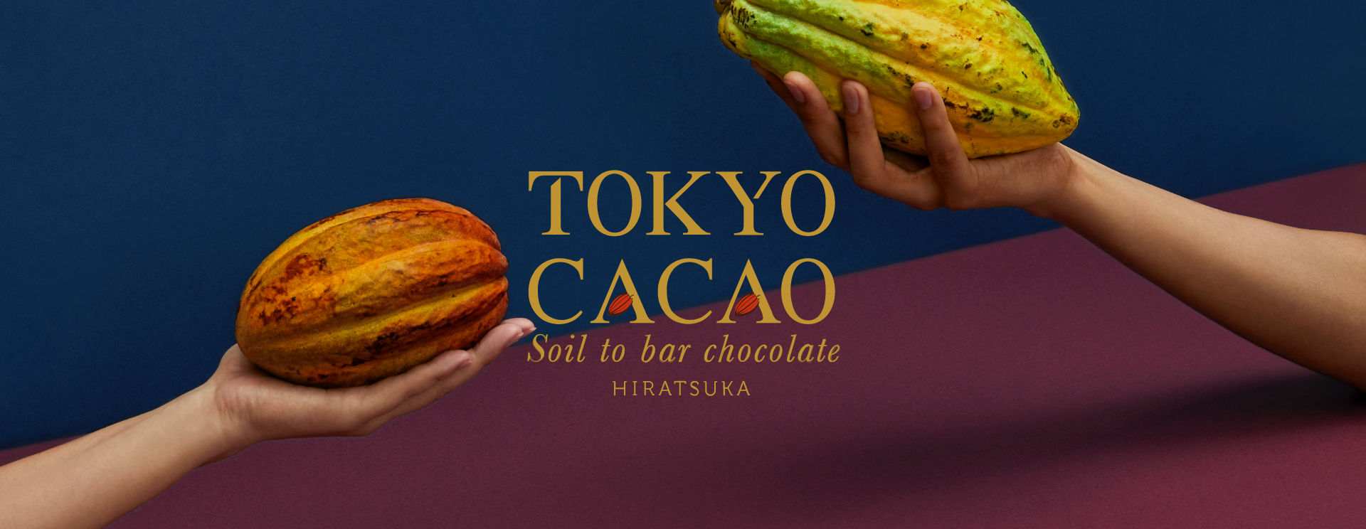 TOKYO CACAO Soil to bar chocolate