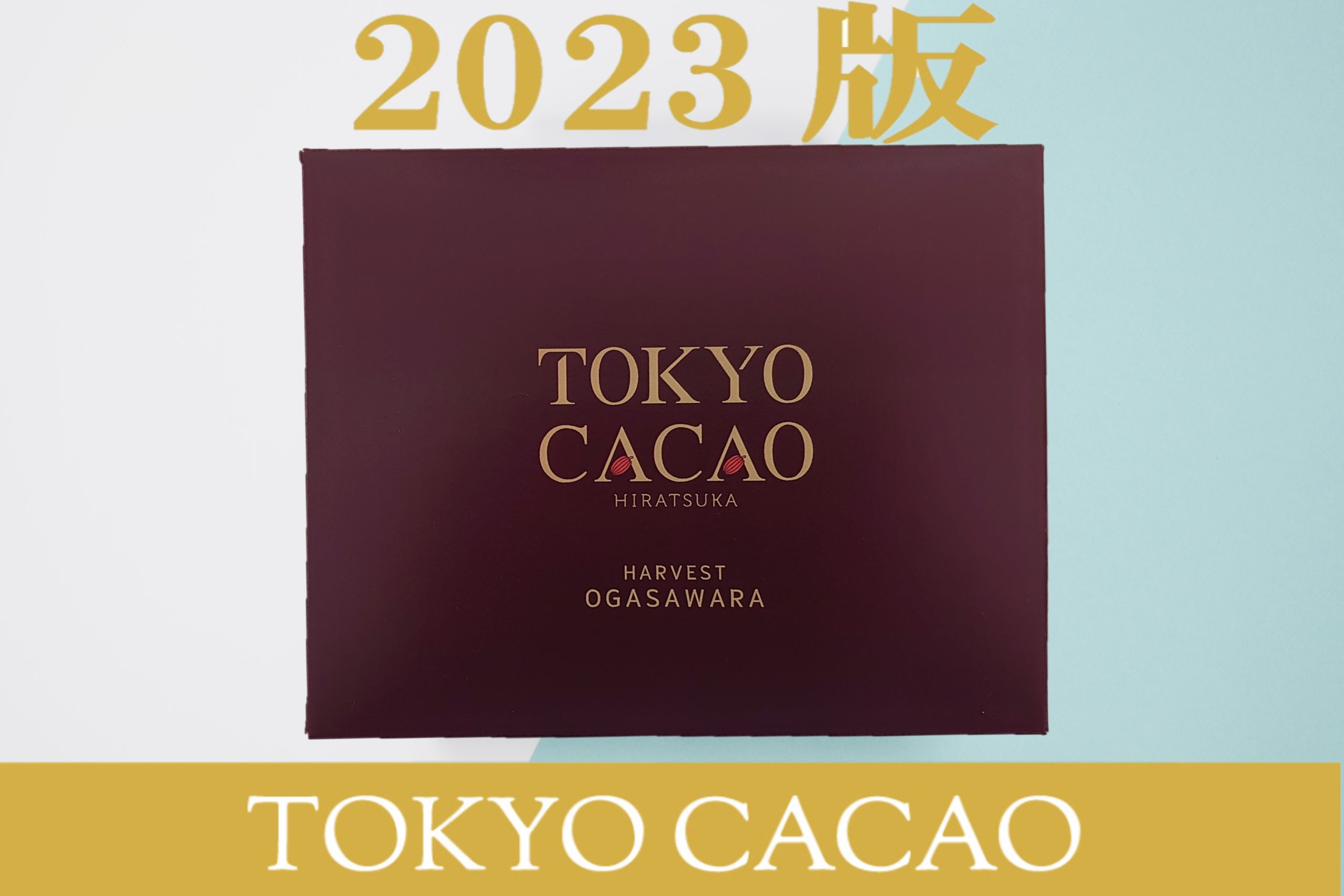 TOKYO CACAO 2023