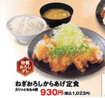 からやまのねぎおろしからあげ定食