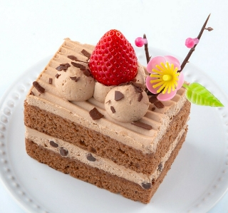 シャトレーゼのひなまつりケーキ_桃の節句 チョコショート